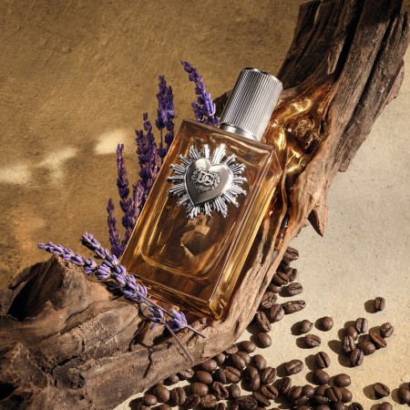 Comar Profumerie | Dolce & Gabbana | Devotion Pour Homme | Cofanetto Parfum 100ml