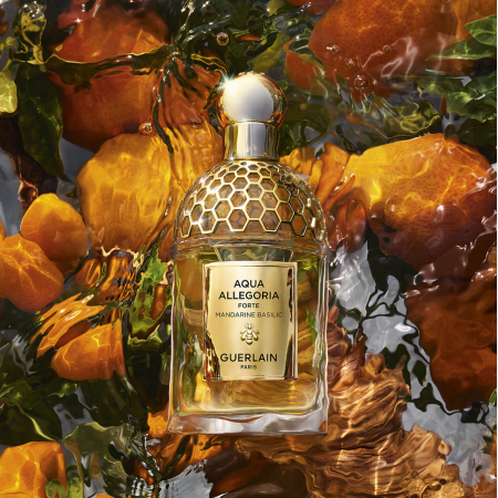 Guerlain | Aqua Allegoria Forte | Mandarine Basilic - Eau de Parfum