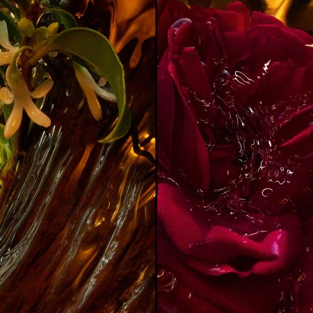 Guerlain | Absolus Allegoria | Epices Exquises - Eau de Parfum 125ml