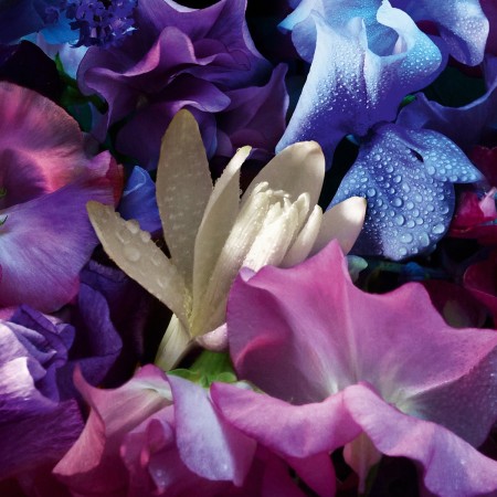 Guerlain | Absolus Allegoria | Florabloom Absolu - Eau de Parfum