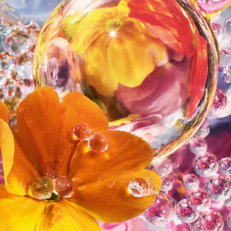Guerlain | Aqua Allegoria Perle | Florabloom - Eau de Parfum 125m