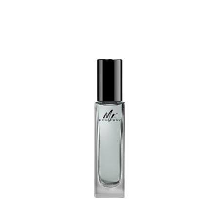 Burberry MR. BURBERRY Eau de Toilette 30ml