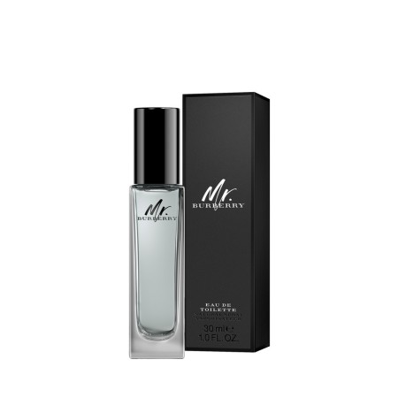 Burberry MR. BURBERRY Eau de Toilette 30ml