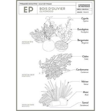 Compagnie de Provence Savon Liquide Marseille Extra Pur Bois d'Olivier