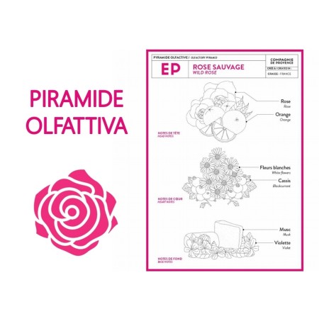 Compagnie de Provence Savon Liquide Marseille Extra Pur Rose Sauvage