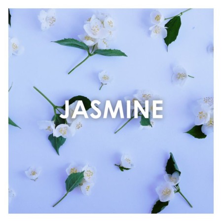 Comar Profumerie | Britney Spears | FANTASY | Eau de Parfum 100ml | 719346065405