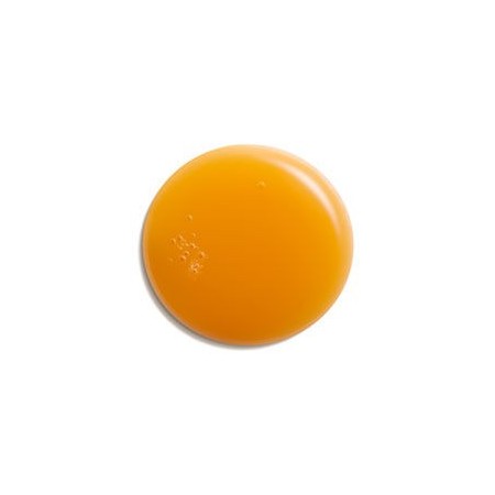Natura Bissé Stabilizing Anti Aging Concentrate 30 ml