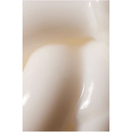 Comar Profumerie | Tuttotondo | Mirto | Crema mani Lenitiva 50 ml