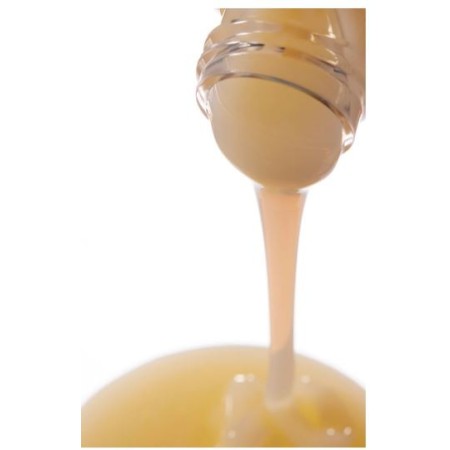 Comar Profumerie | Tuttotondo | Tiramisù | Ricarica Gel Doccia 1 l