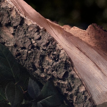 Comar Profumerie | Chloé | Rose Naturelle | Eau de Parfum 150 ml Refill