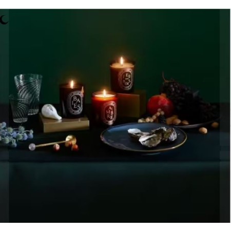 Comar Profumerie | Diptyque | Baies | Candela Profumata 300gr