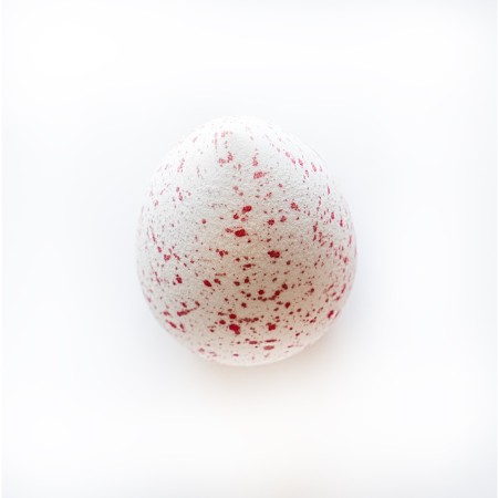 Comar Profumerie | Ethos | Accessori | Spugna Blender Ovale