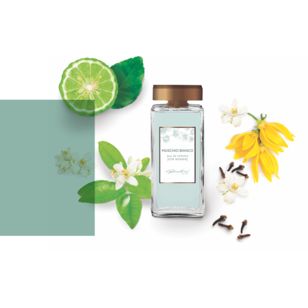 Comar Profumerie | Gandini | Muschio Bianco | Eau de Toilette