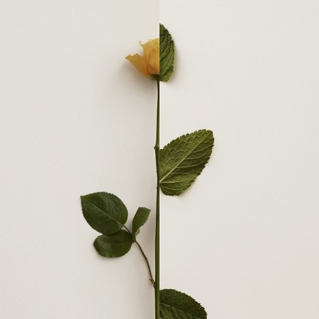 Comar Profumerie | Burberry | MY BURBERRY BLACK | Eau de Parfum