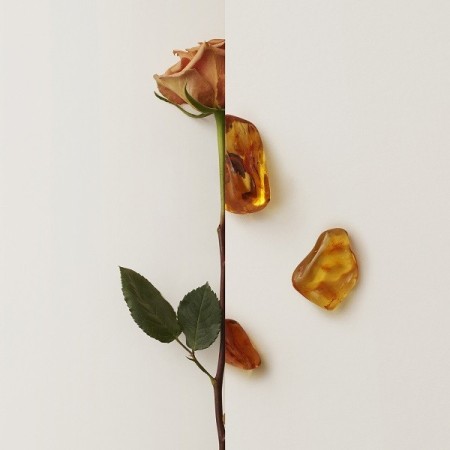 Comar Profumerie | Burberry | MY BURBERRY BLACK | Eau de Parfum