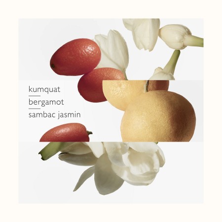 Comar Profumerie | Hermès | Le Jardin de Monsieur Li | Eau de toilette