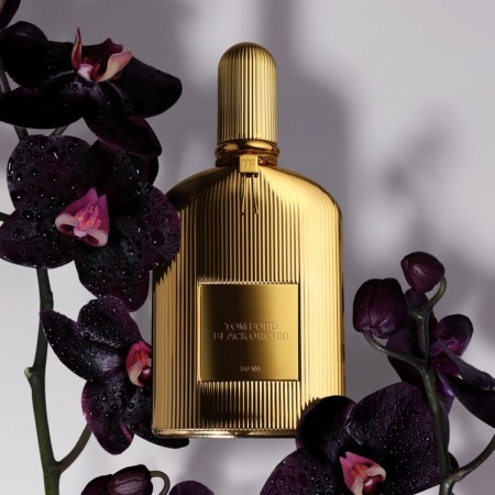 Comar Profumerie | TOM FORD | UNISEX | Black Orchid Parfum