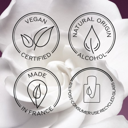 Comar Profumerie | Shiseido | EAU DE PARFUM | GINZA |  Murazaki