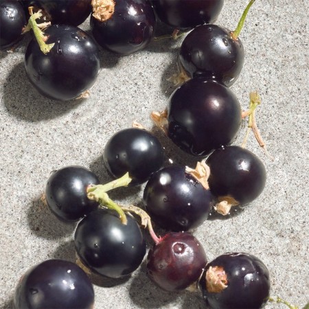 Comar Profumerie | Dolce & Gabbana | DOLCE | Violet Eau de Toilette