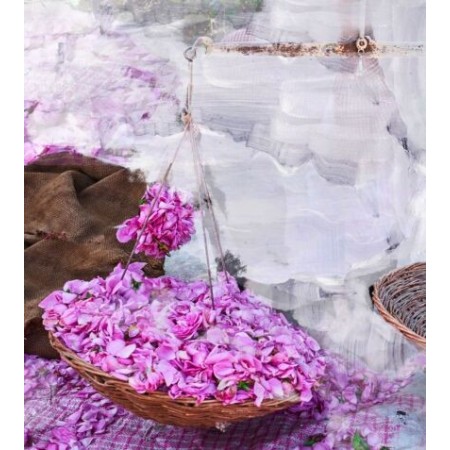 Comar Profumerie | Byredo | Young Rose | Eau de Parfum