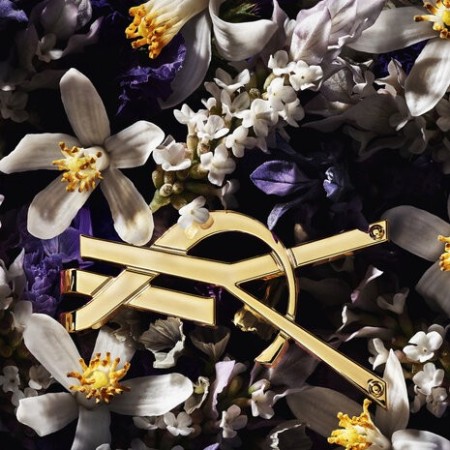 Comar Profumerie | Yves Saint Laurent | Libre | L'Absolu Platine Eau de Parfum