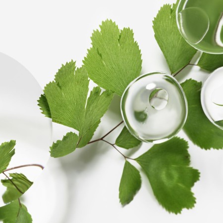 Comar Profumerie | Sisley Paris | Trattamenti | Viso | Trattamenti Giorno | Emulsion Ecologique Formule Avancée