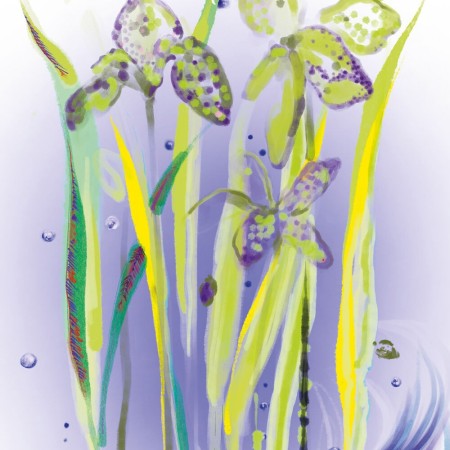 Comar Profumerie | Sisley Paris | Eau Rêvée | D'Alma Eau de Toilette