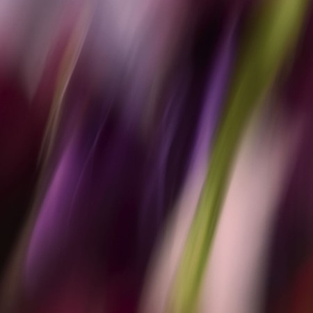 Comar Profumerie | Sisley Paris | Eau Rêvée | D'Eliya Eau de Toilette