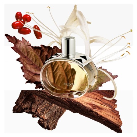 Comar Profumerie | Hermes | Profumi Donna | Barenia | Eau de Parfum