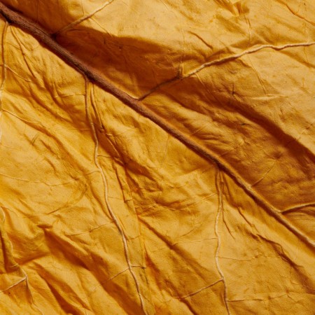 Comar Profumerie | Comme des Garcons | COPPER | Eau de Parfum 100ml