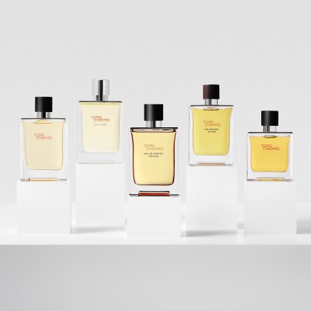 Comar Profumerie | Hermes | Profumi Uomo | Terre d’Hermès | Eau de Parfum Intense