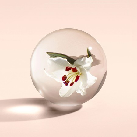 Comar Profumerie | Molton Brown | Heavenly Gingerlily | Crema Mani 40 ml