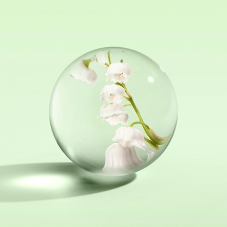 Comar Profumerie | Molton Brown | Lily & Magnolia Blossom | Eau de Parfum 100 ml