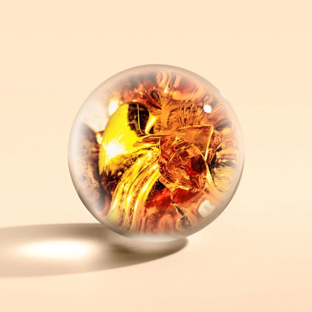 Comar Profumerie | Molton Brown | Neon Amber | Eau de Parfum