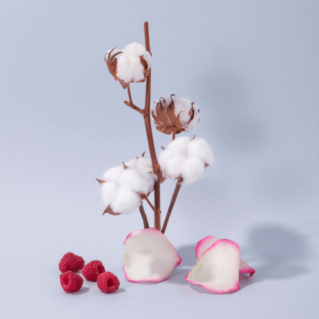 Comar Profumerie | Compagnie de Provence | Savon Marseille |Fleur de Coton