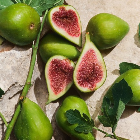 Comar Profumerie | Dolce&Gabbana | Profumi Uomo | Light Blue pour Homme  | Capri In Love Eau de Parfum