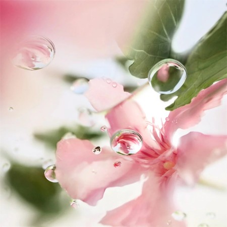 Comar Profumerie | Lancôme | Profumi Donna | Ô de Lancôme | Ôver The Top Eau de Toilette