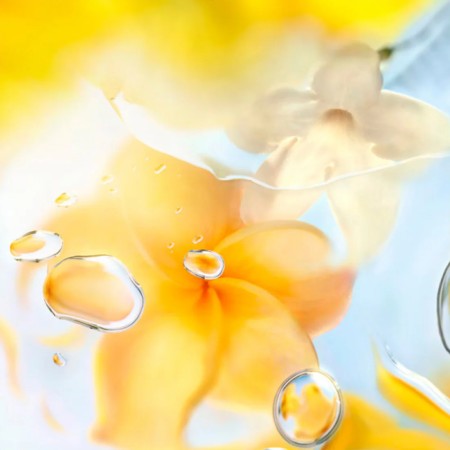 Comar Profumerie | Lancôme | Profumi Donna | Ô de Lancôme | Ô Zenith Eau de Toilette