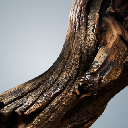 Comar Profumerie | Boss | BOTTLED | Shower Gel 200ml