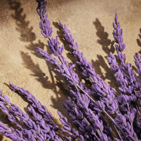 Comar Profumerie | Dolce & Gabbana | Devotion Pour Homme | Parfum